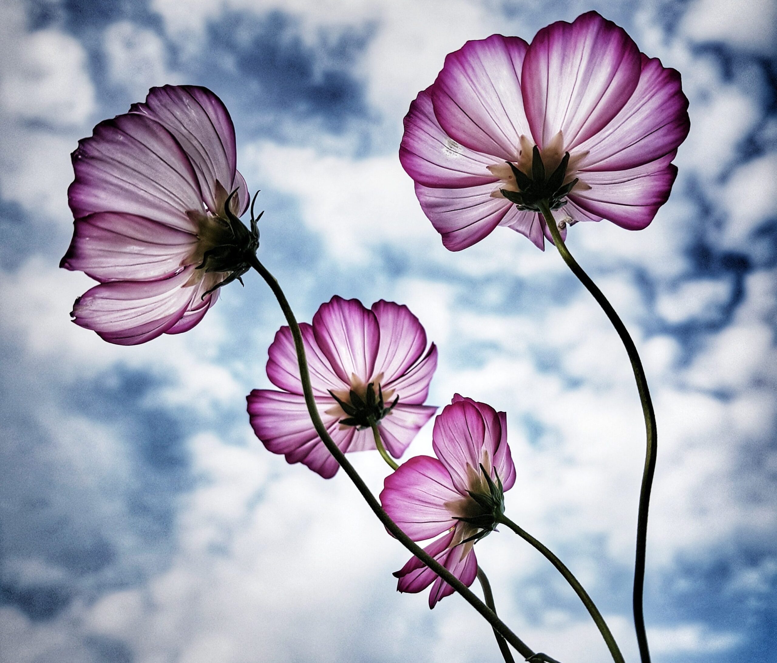 Mother’s Day Sadness: 7 Ways to Help a Friend Who’s Struggling